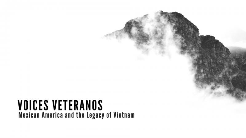 Voices Veteranos: Mexican America and the Legacy of Vietnam